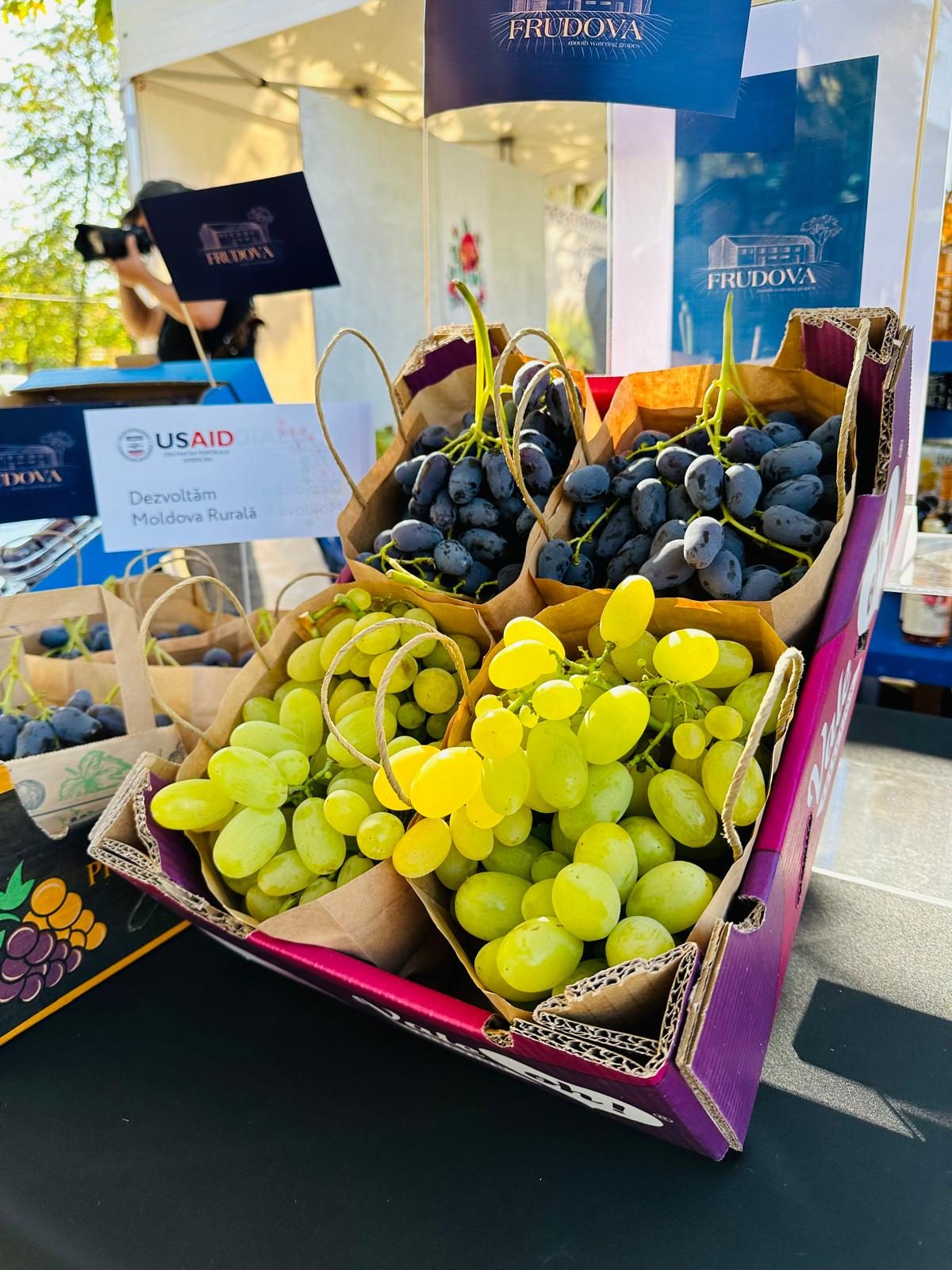 White table grapes Moldova - Fruits producers from Moldova premium quality
